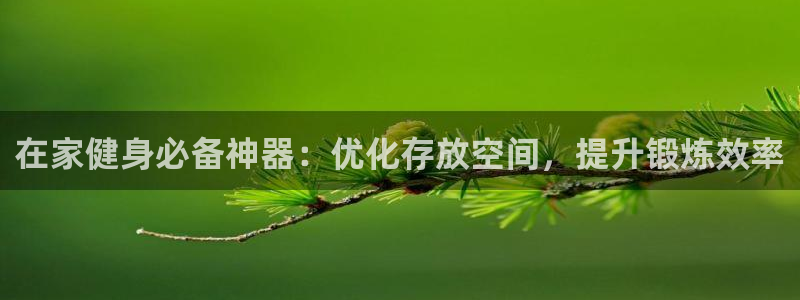 极悦平台注册用户名格式是什么：在家健身必备神器：优化