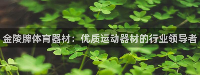 极悦平台注册和登录页面：金陵牌体育器材：优质运动器材