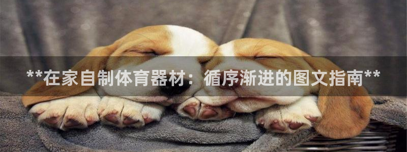 极悦平台注册登录入口在哪：**在家自制体育器材：循序