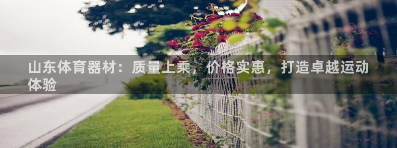 极悦平台注册资金多少：山东体育器材：质量上乘，价格实