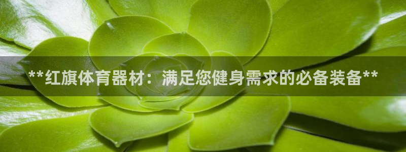 极悦娱乐公司最新招聘信息：**红旗体育器材：满足您健