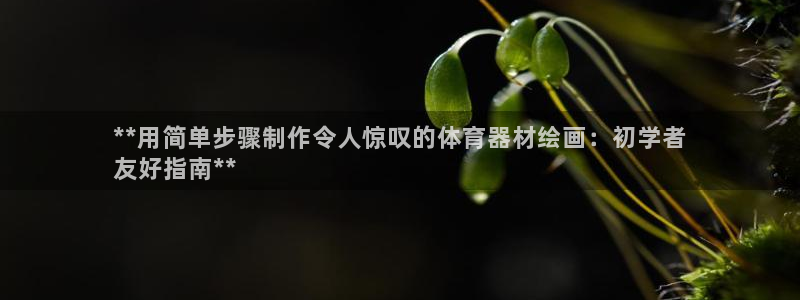 极悦平台官方网站登录不了：**用简单步骤制作令人惊叹