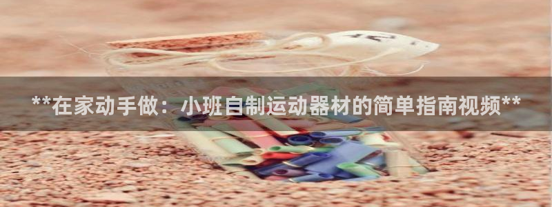 极悦娱乐德711.112扣费说明：**在家动手做：小班自制运