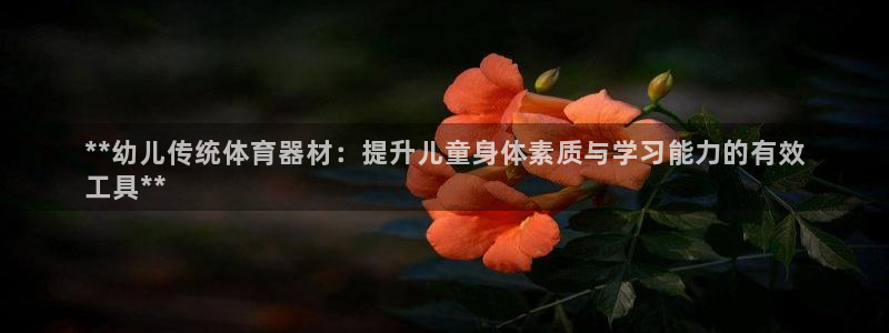 极悦平台网址皮皮虾下载：**幼儿传统体育器材：提升儿童身体素
