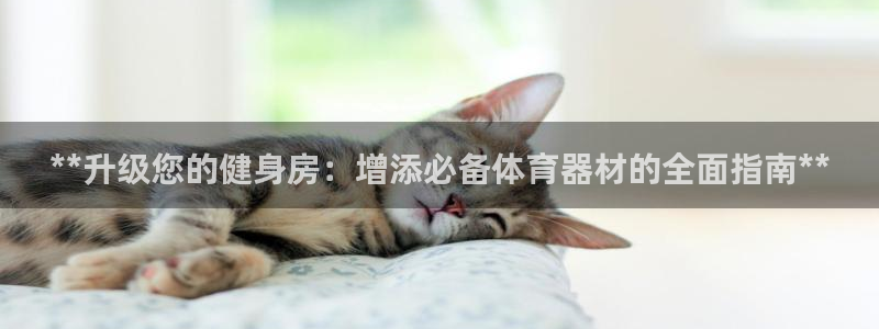 极悦官网下载最新版本更新内容视频：**升级您的健身房：增添必