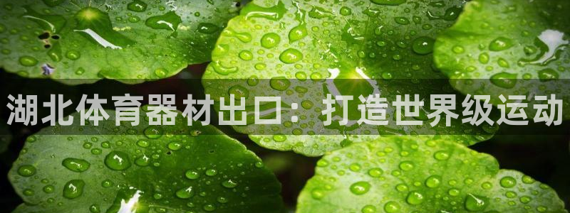 极悦平台官网登录入口网址是多少：湖北体育器材出口：打
