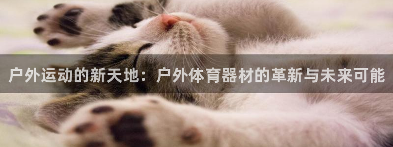 极悦官方网站