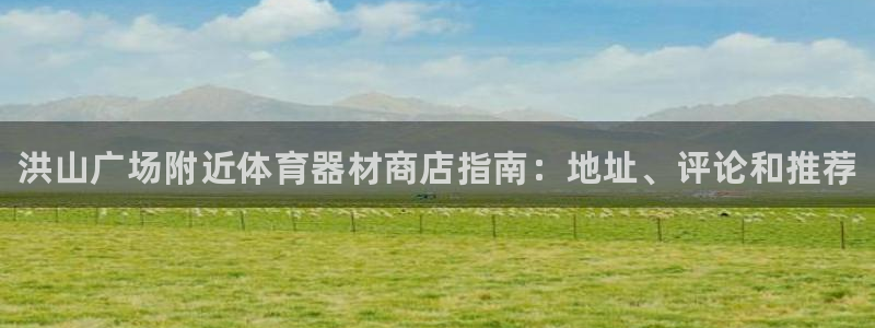 极悦平台是什么平台的：洪山广场附近体育器材商店指南：地址、评
