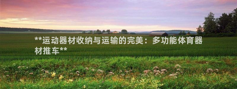 极悦是什么牌子空调：**运动器材收纳与运输的完美：多功能体育