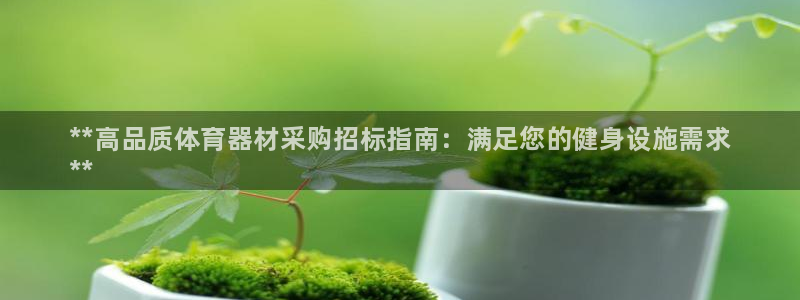 极悦娱乐股东有哪些：**高品质体育器材采购招标指南：满足您的