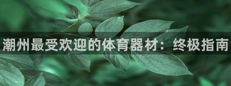 极悦平台注册用户名格式错误：潮州最受欢迎的体育器材：