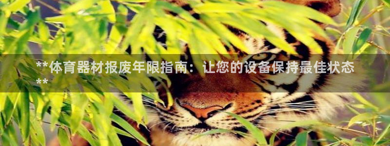 极悦平台注册官方网站下载手机版：**体育器材报废年限指南：让