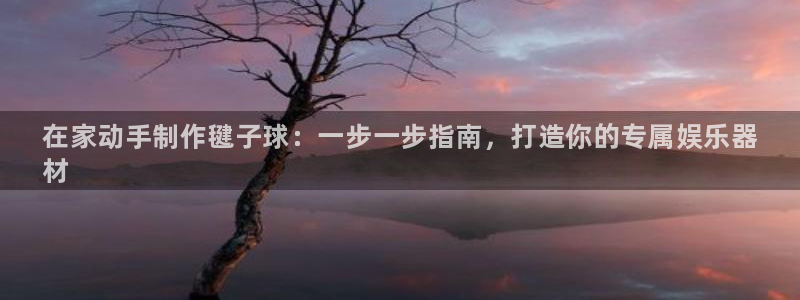 极悦平台注册流程详解视频：在家动手制作毽子球：一步一步指南，