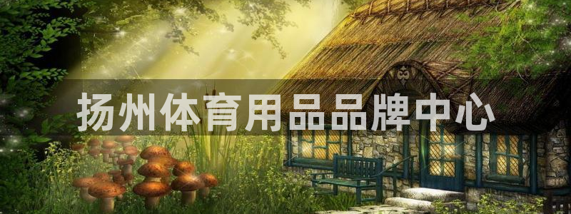 极悦官方网站app下载安卓：扬州体育用品品牌中心