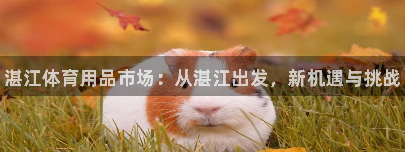 极悦娱乐下载安装手机版：湛江体育用品市场：从湛江出发