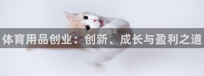 极悦平台客服的联系方式：体育用品创业：创新、成长与盈