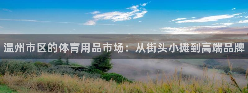 极悦平台注册太7.0.2.4好用吗：温州市区的体育用