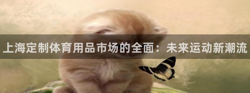 极悦平台客服团队怎么样：上海定制体育用品市场的全面：