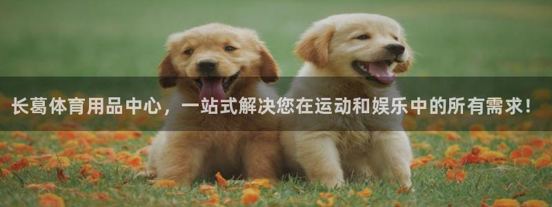 极悦平台官网登录不了怎么回事：长葛体育用品中心，一站