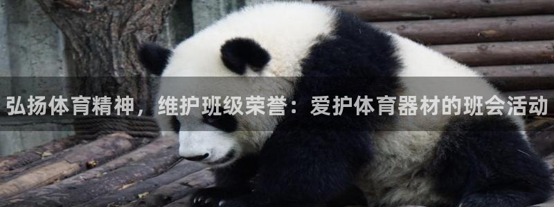 极悦娱乐百科百度：弘扬体育精神，维护班级荣誉：爱护体