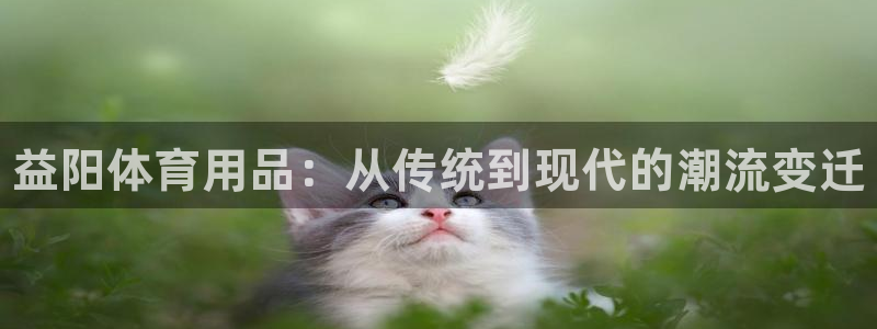 极悦平台和蓝狮平台区别大吗：益阳体育用品：从传统到现