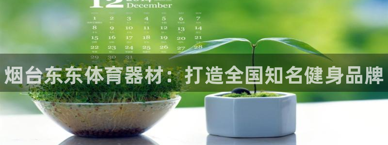 极悦官网注册最新版本更新内容是什么