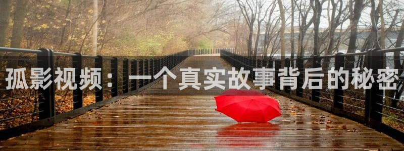 天龙影院官网首页：孤影视频：一个真实故事背后的秘密