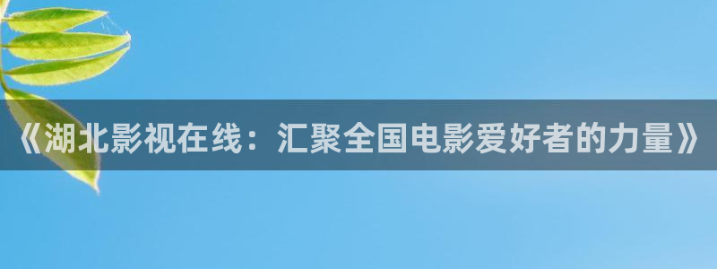 天龙高清影院网站：《湖北影视在线：汇聚全国电影爱好者的力量》
