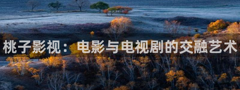 天龙影院2021最新电视剧：桃子影视：电影与电视剧的交融艺术