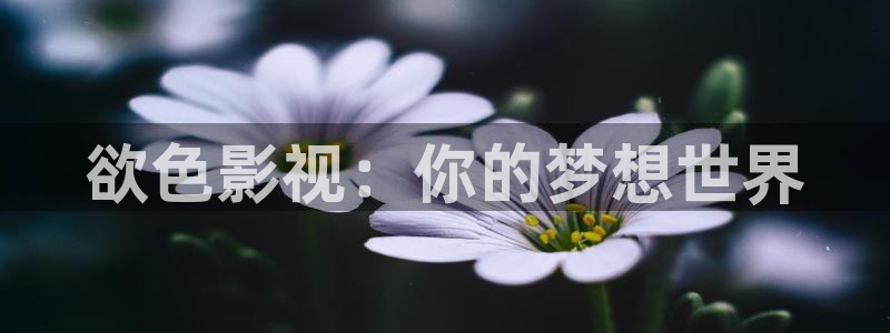 天龙影院2024年最新款