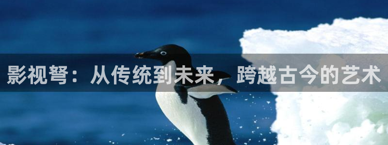 天龙影院2021最新电视剧