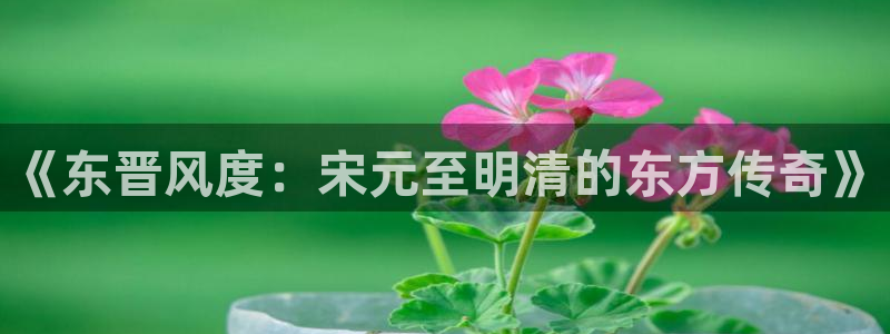 天龙影视影院：《东晋风度：宋元至明清的东方传奇》